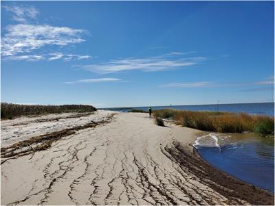 Observations of Wave Height Amplification Behind an Oyster Castle Breakwater System in a High-Energy Environment: Gandys Beach, NJ